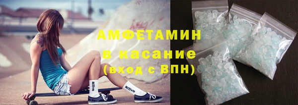 молекула духа Арсеньев