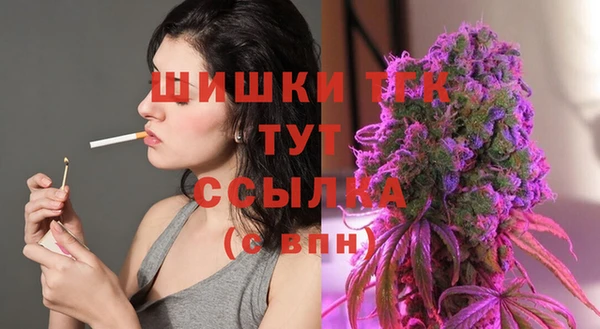 молекула духа Арсеньев