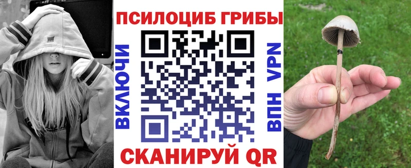 ОМГ ОМГ ссылки  Мамоново  Псилоцибиновые грибы Cubensis 